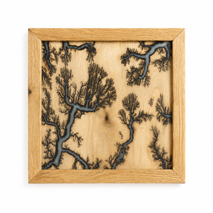Bespoke Lichtenberg Wall Art
