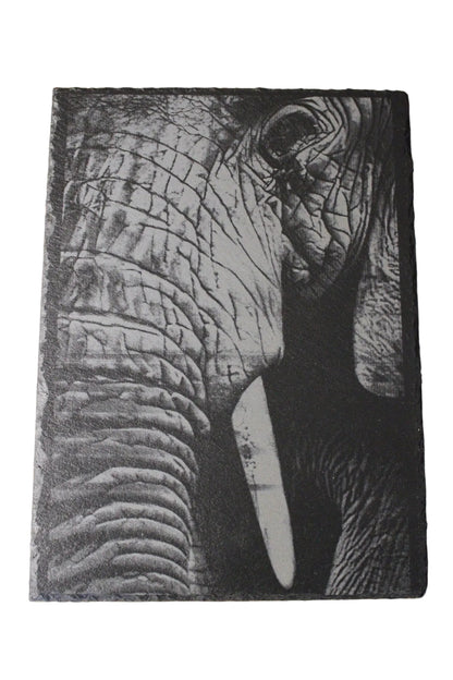 Elephant Engraving