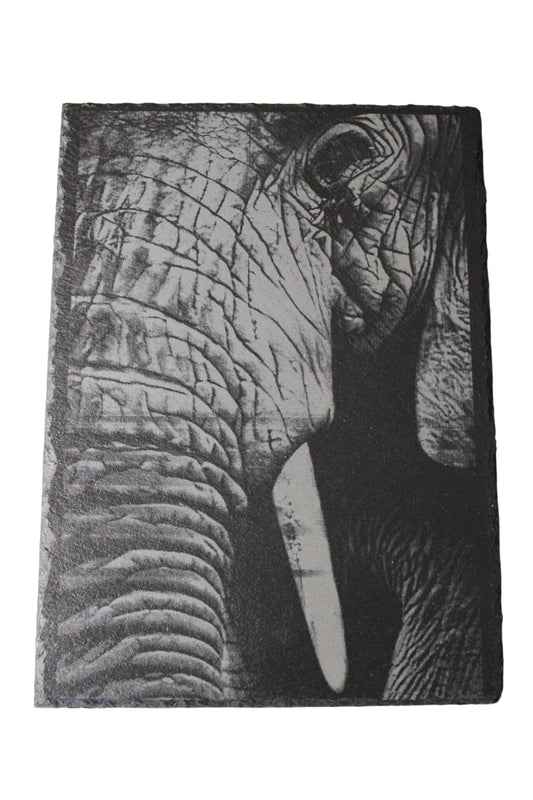 Elephant Engraving