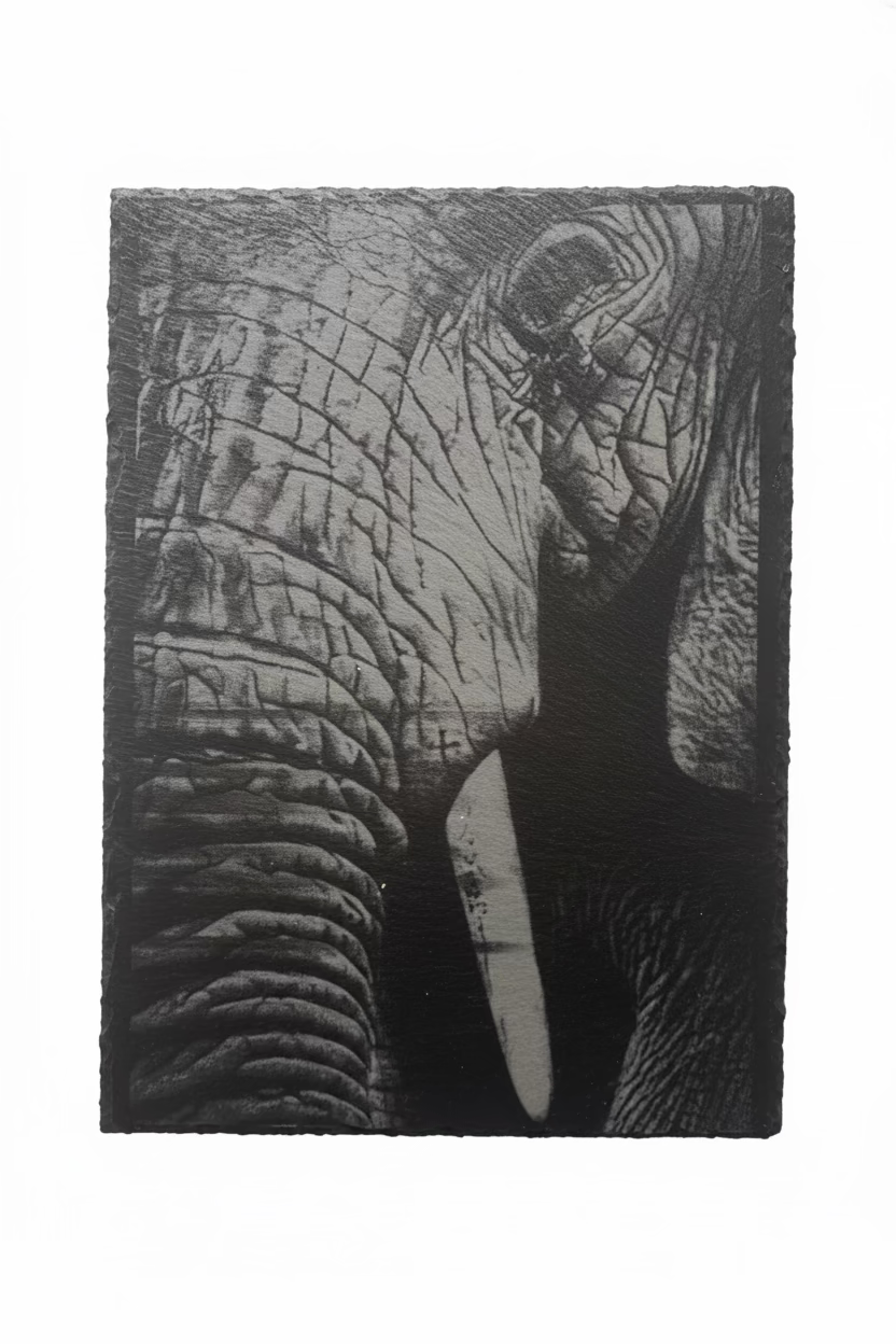 Elephant - Slate Engraving