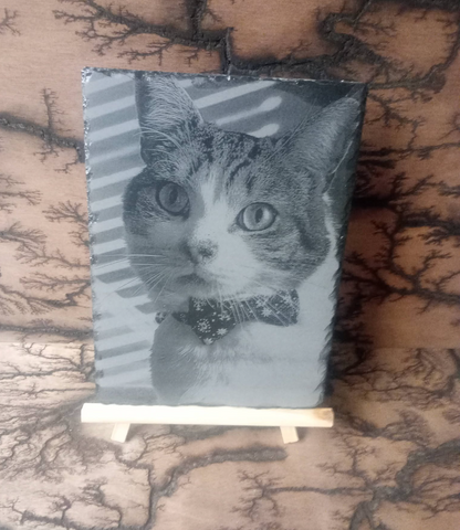 Pet Portrait Engraved On Slate - Bespoke